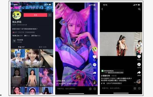 网红自我爆料视频下载,真实背后的故事