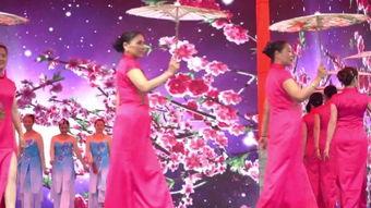 歌女红牡丹在线观看,歌坛传奇,在线重温经典旋律 第3张 歌女红牡丹在线观看,歌坛传奇,在线重温经典旋律 第3张